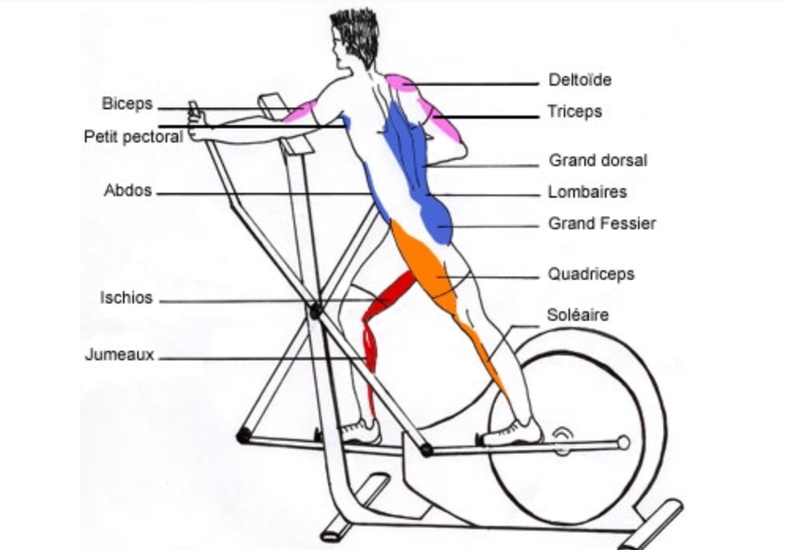 vélo elliptique