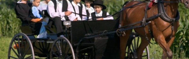 longévité des Amish